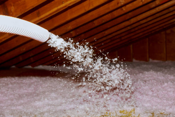 Best Cellulose Insulation in Pottsboro, TX