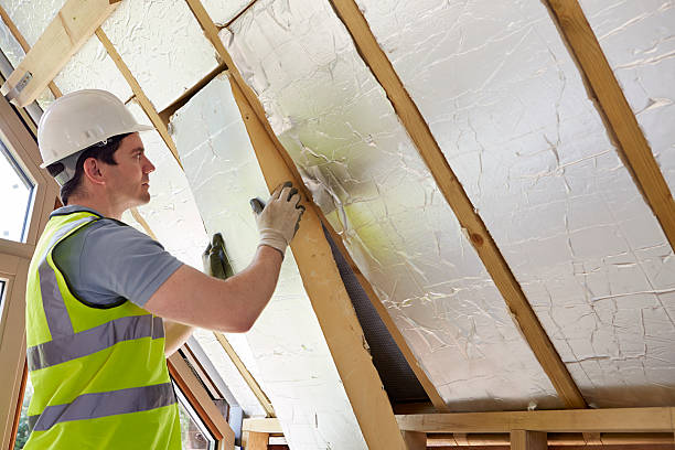 Best Blown-in Insulation in Pottsboro, TX