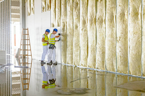 Best Fiberglass Insulation in Pottsboro, TX